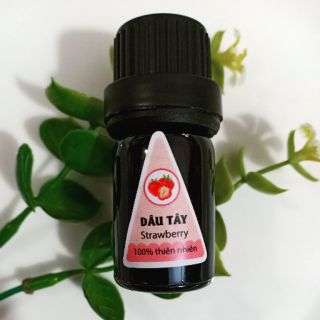 Khuyến mãi sốc tinh dầu xông 5ml hương dâu tây. Sản phẩm chuyên dụng trong spa. Tinh dầu chống trầm cảm, giảm stress