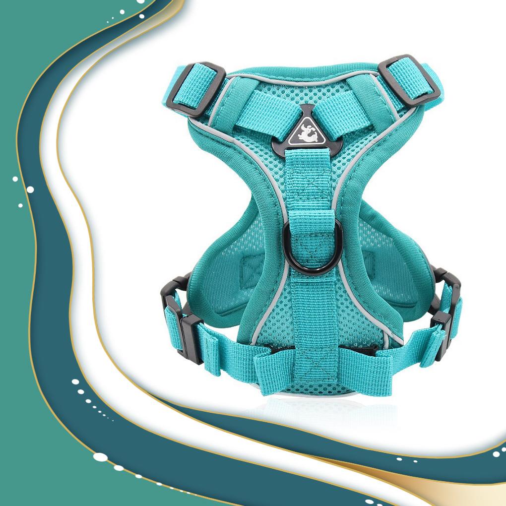 Dây Dắt Thú Cưng Đi Dạo Thiết Kế Phản Quang Thoáng Khí Tùy Chỉnh Tiện Dụng