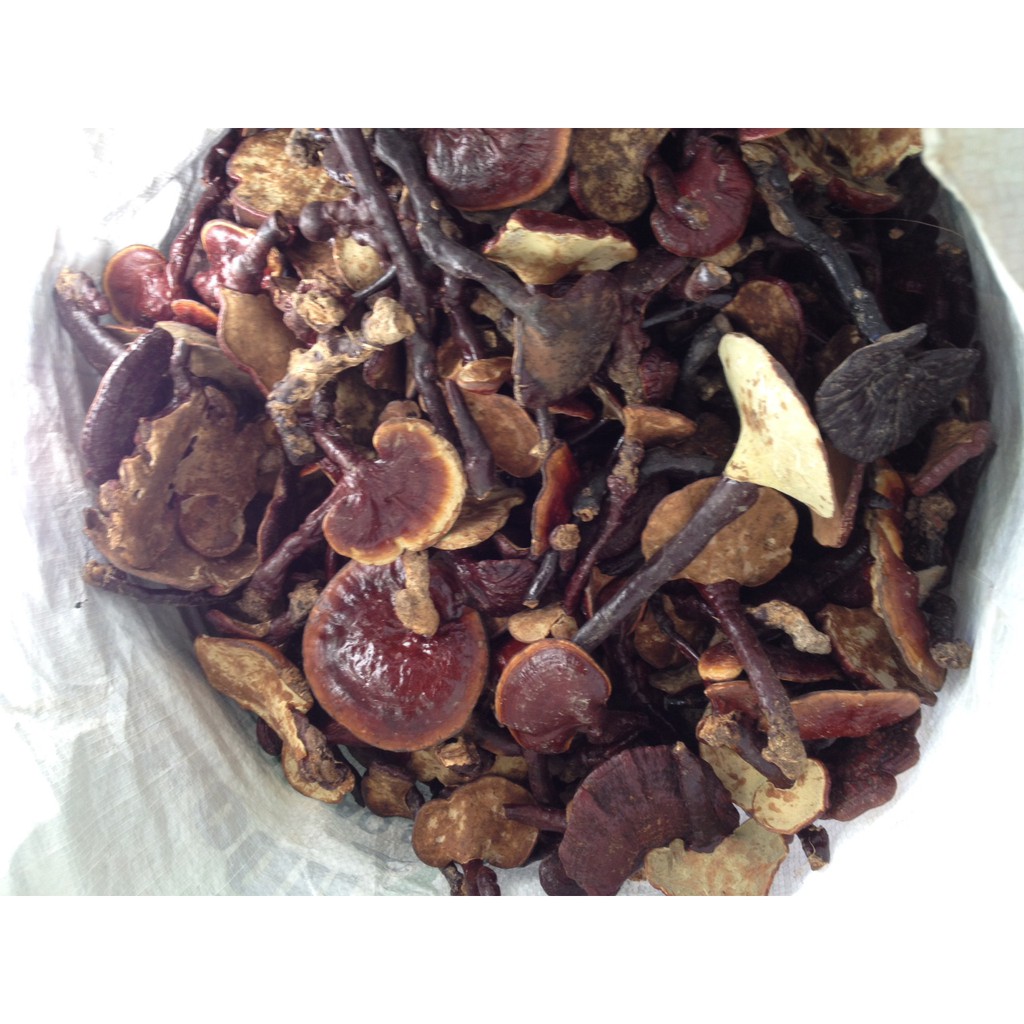 NẤM LINH CHI THÁI LÁT - 100g
