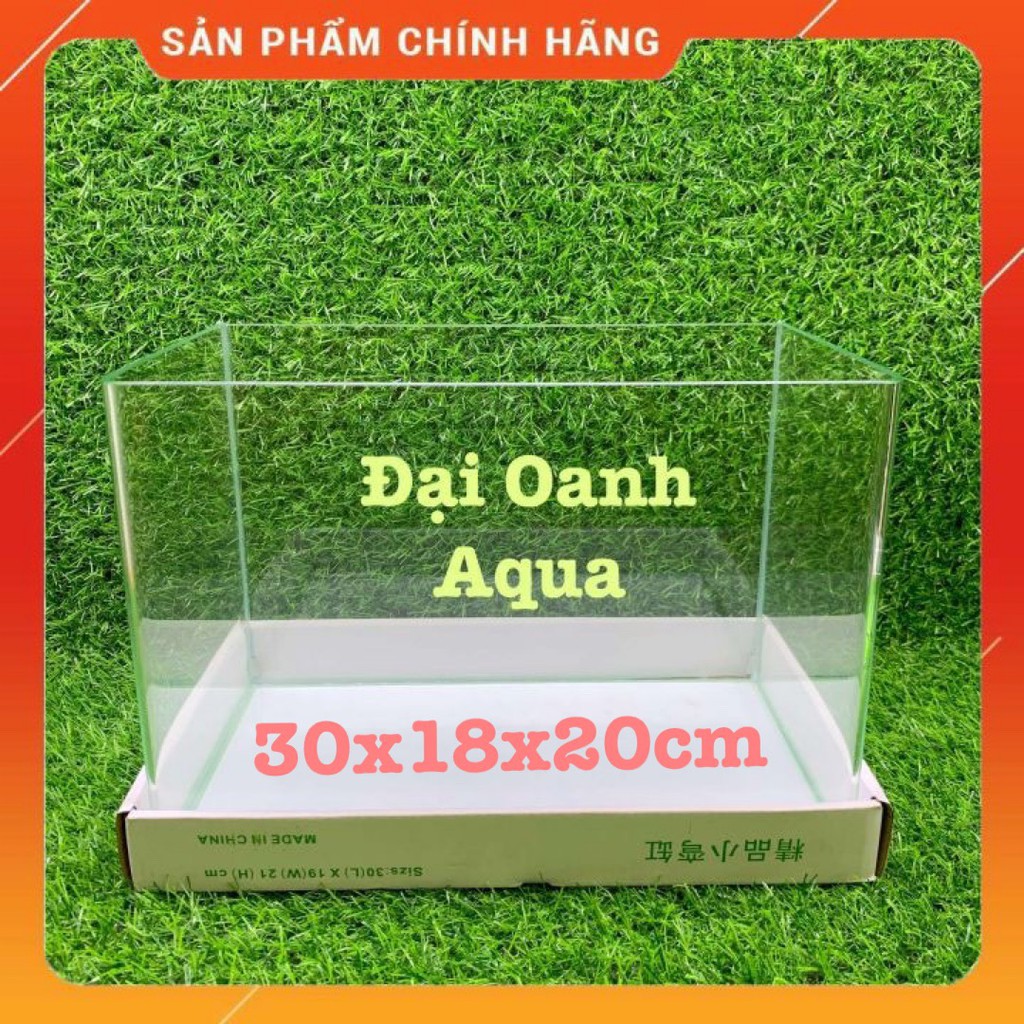 Bộ bể cá kính đúc dài 30cm, bể cá cảnh mini, bể thủy sinh