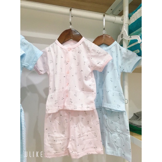 BỘ CỘC TAY MIOMIO CÀI GIỮA COTTON MỎNG MIO