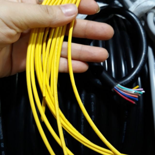 10c gen co nhiệt phi 2