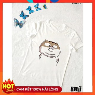 [Mẫu mới – freeship] ÁO PHÔNG IN HÌNH AMI BỤNG BỰ SIÊU CUTE