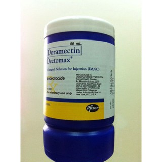 Dectomax - Bom Ghẻ Chó Mèo