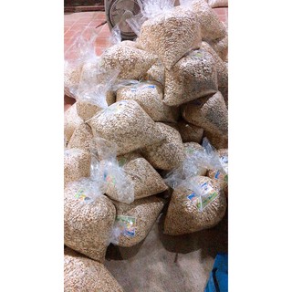 Combo 2kg Hạt bí rang chín ngon đặc biệt