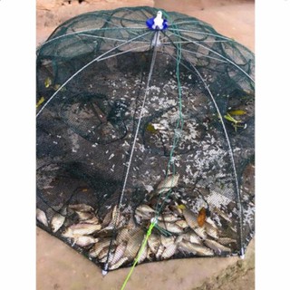 Lồng Bát Quái Đánh Bắt Cá 8 Cửa