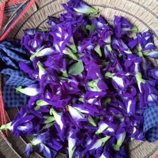 300 g  hoa đậu biếc khô