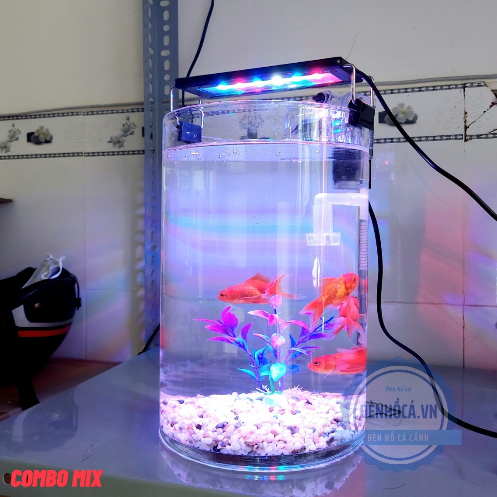 Bể cá mini tròn để bàn D20-H30cm chọn theo combo nhiều mẫu kèm phụ kiện