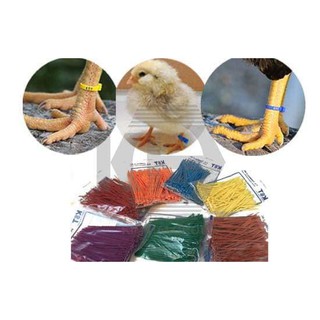 DÂY RÚT ĐÁNH DẤU ,PHÂN LOẠI ,LÀM DẤU GÀ VÀ CÁC CON VẬT KHÁC  bịt 100 dây