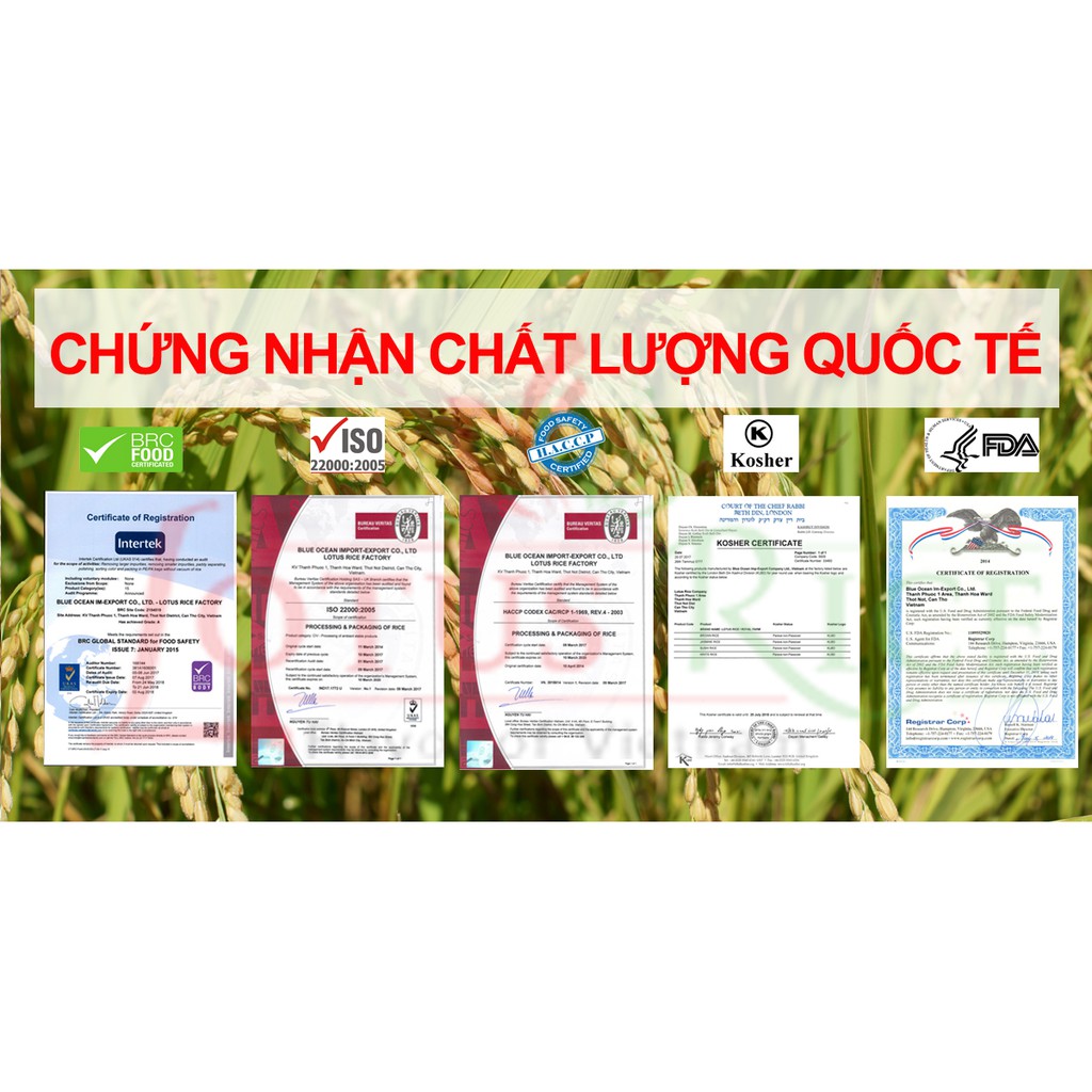 Gạo Ngọc Sen Lotus Rice 5kg - Cơm ngon dẻo vừa | BigBuy360 - bigbuy360.vn