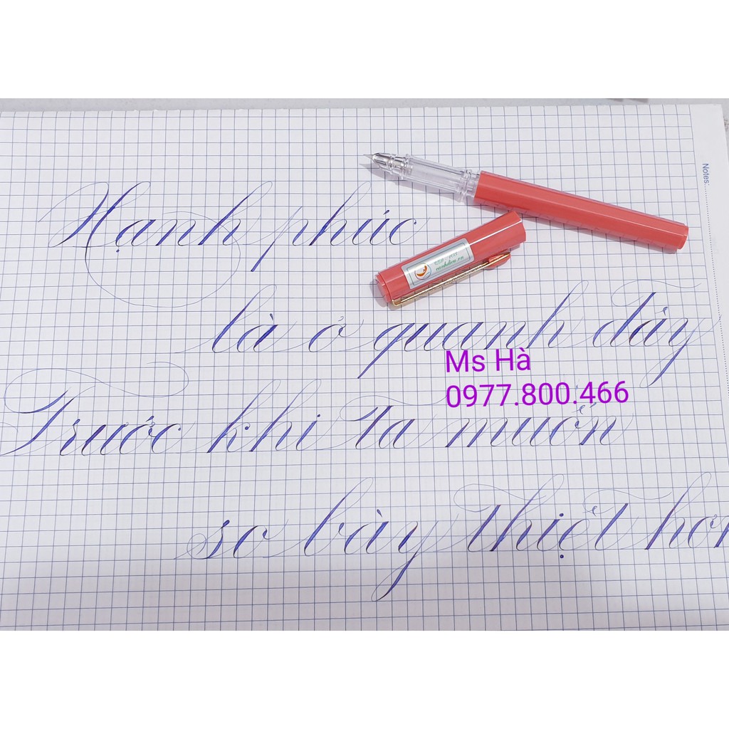 #CD103 Bút máy ngòi kim tinh lá tre Cánh Diều CD 103