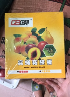 SET 10 BẪY DÍNH RUỒI VÀNG