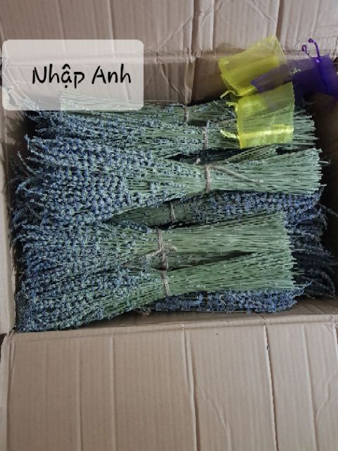 Bó hoa Oải Hương - Lavender khô 100g (Nhập Pháp và Nhập Anh)