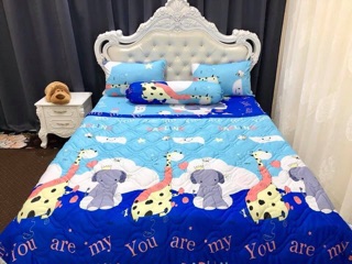 Drap thun Hàn quốc