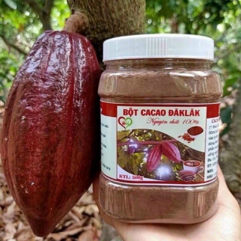 Bột Ca Cao Đắk Lắk Nguyên Chất Hộp 500gram Dùng Pha Nước Uống Cacao, Làm Bánh Kẹo, Pha Chế Smoothie Siêu Bổ Dưỡng