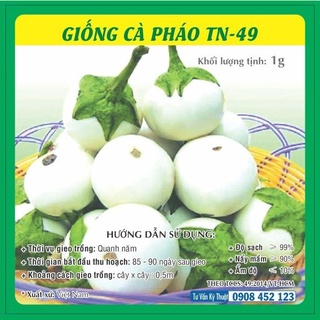 Hạt giống Cà Pháo Tím - Cà Pháo Trắng