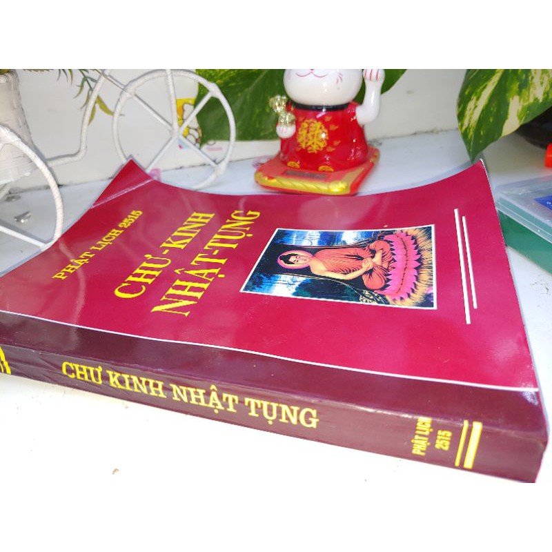 Chư kinh nhật tụng