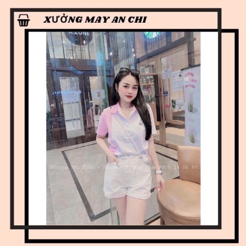 ( HÀNG CÓ SẴN ) Áo Cộc Tay Nữ Chất Liệu Polo Loại1