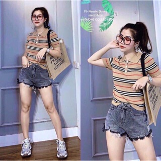 Áo len kẻ bbr