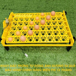 Khay đảo trứng tự động Ánh Dương 54 trứng