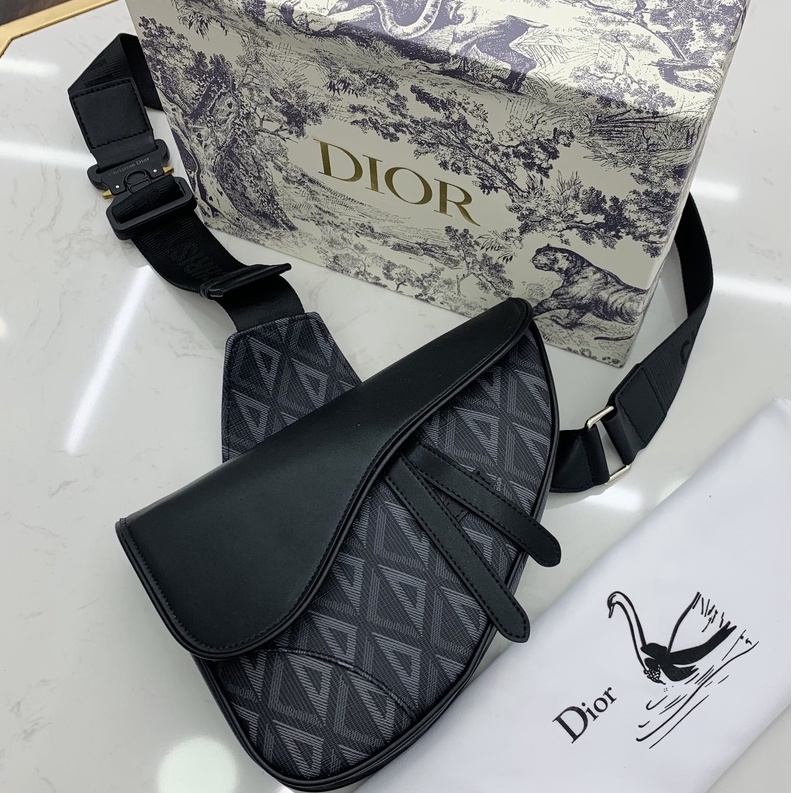 Túi đeo chéo Dior vát yên ngựa LA 2022