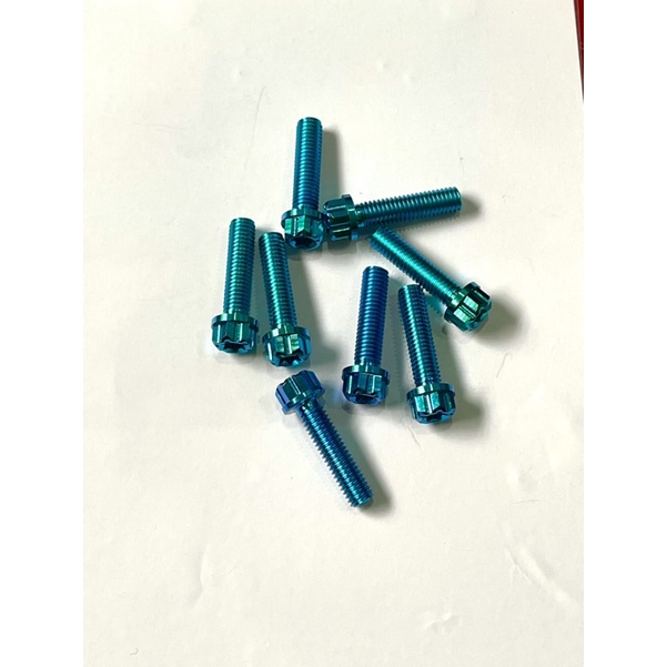 Ốc  titan gr5 5li20 đầu salaza gắng cùm domino