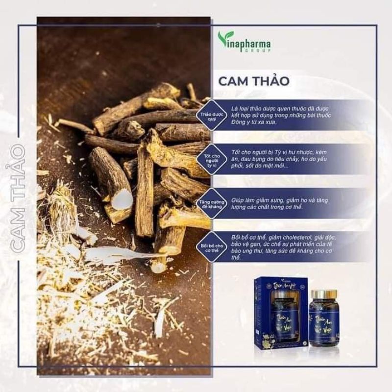 Thiên An Việt _ VInapharma Group