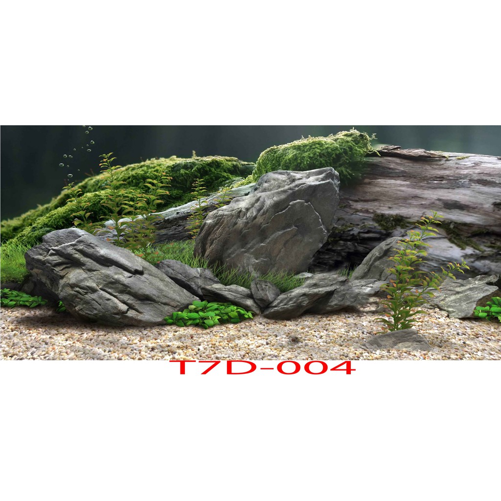 Tranh 3D bể cá mã T7D-004 kt (60,80,90,100,1m2,1m5,1m6)