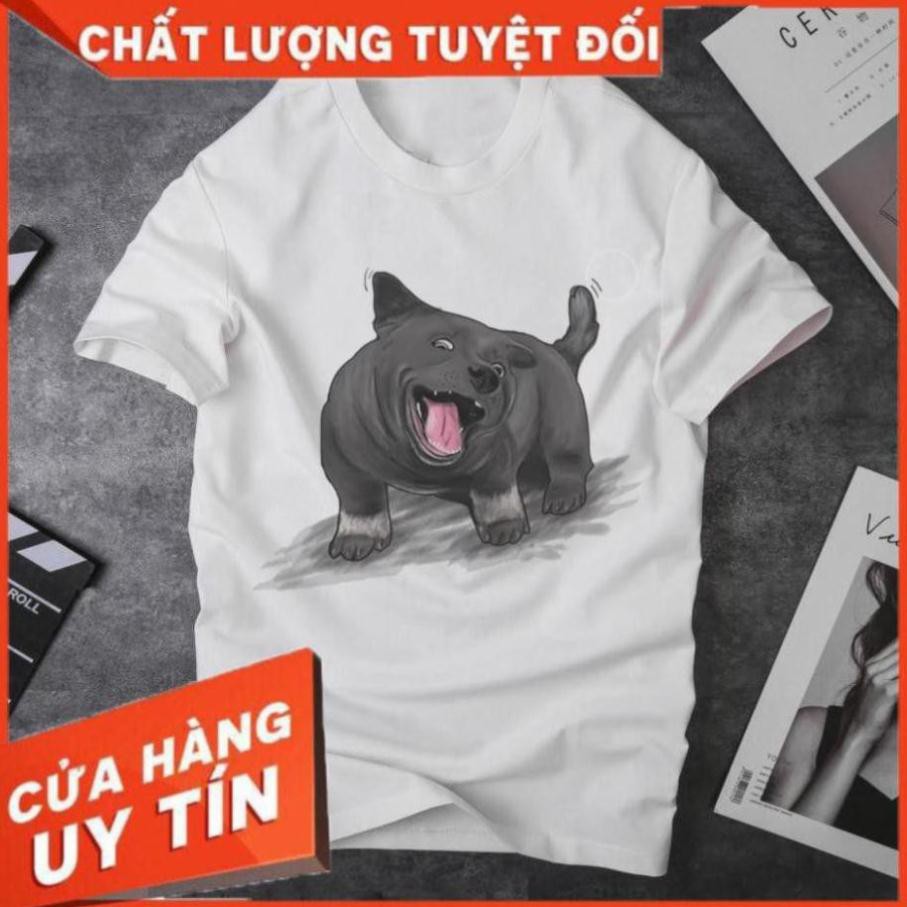 Áo in chó văn dúi , gấu mèo, làng dúi, bắc mỹ, chó ngố