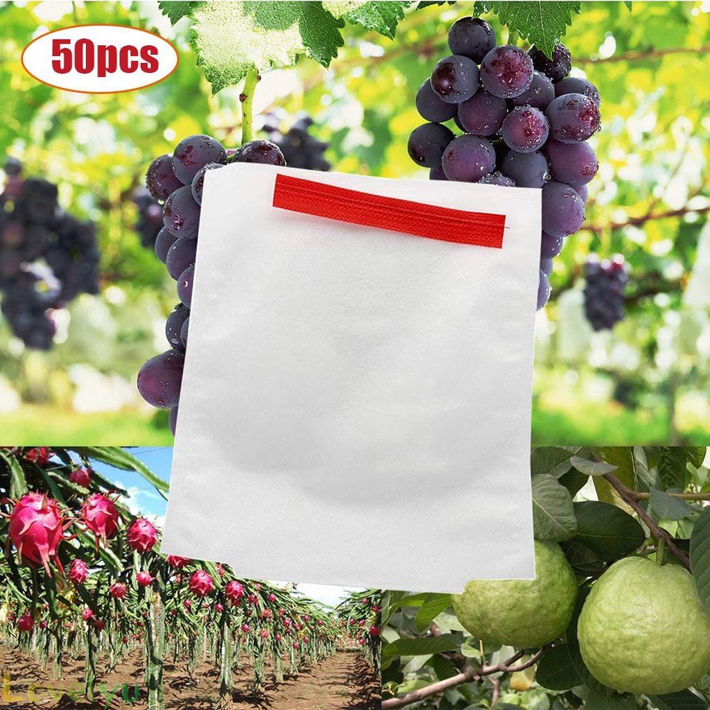 Túi Bọc Bảo Vệ Trái Cây / Chim / Nho Tiện Dụng