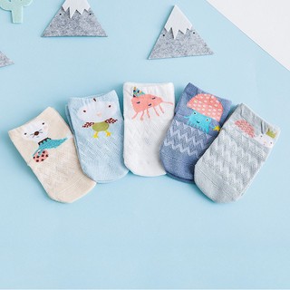 Lô set 5 đôi tất Tiny alpaca