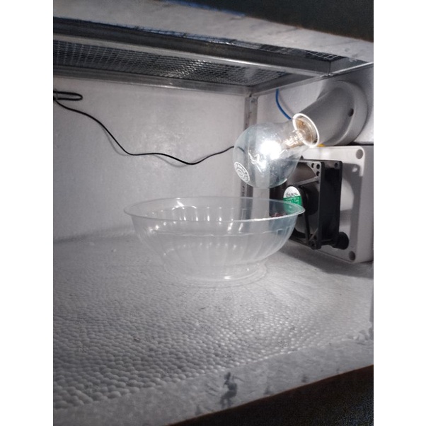 Bóng điện sợi đốt huỳnh quang 60w