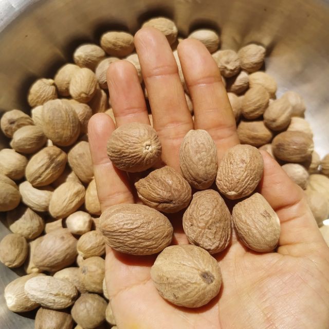 Nutmeg whole - Nhục đậu khấu nguyên hạt indonesia Hũ 120ml | BigBuy360 - bigbuy360.vn