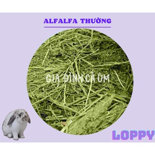 Cỏ alfalfa thường dành cho sóc/ thỏ/ bọ