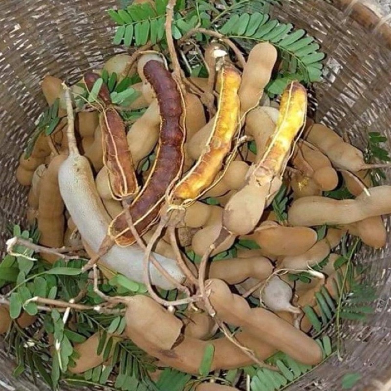 Đá me ngào khóm đặc sản Nam Du 1 kg- hạt cứng