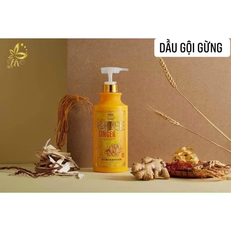 Cặp dầu gội - xả tinh chất Gừng