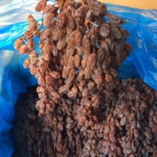 Nho khô Úc nguyên cành 500gr