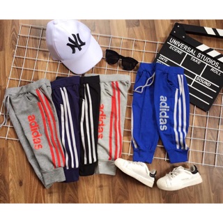 Quần adidas