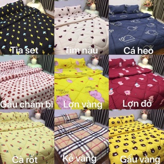 Set Chăn phao ga gối poly loại 1, được chọn mẫu
