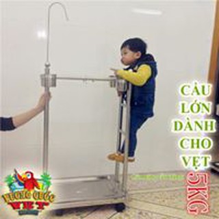 Cầu đứng cho Vẹt