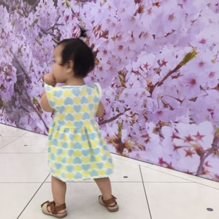 Nguồn Sỉ Giá Tốt