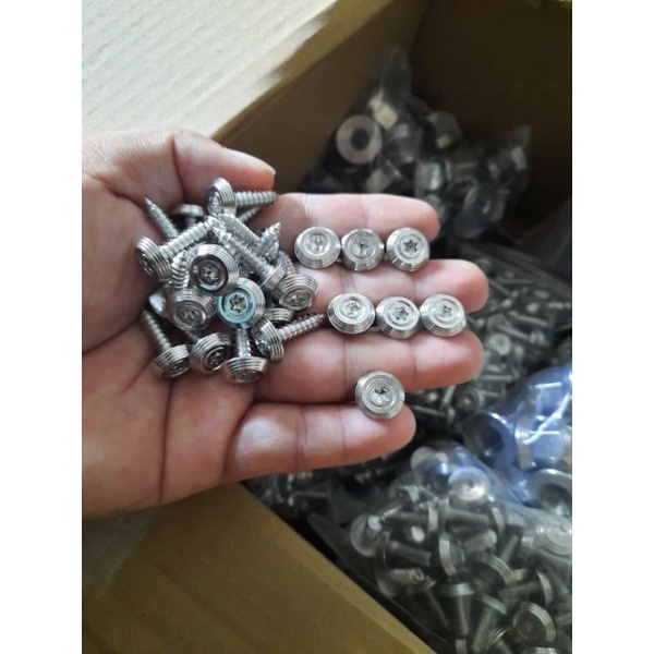 Ốc áo ex 2010 thái 40 con