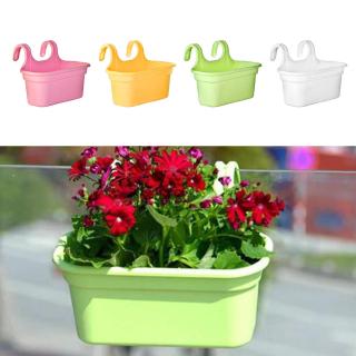 Chậu hoa treo tường trang trí sáng tạo