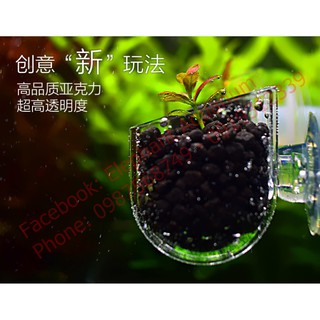 Cốc trồng cây và cho cá ăn bằng Mica cho hồ thủy sinh
