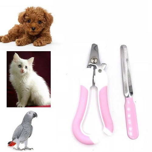 Bộ Cắt Móng Cho Thú Cưng 🐾🐾🐾