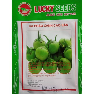 Hạt giống cà pháo xanh cao sản