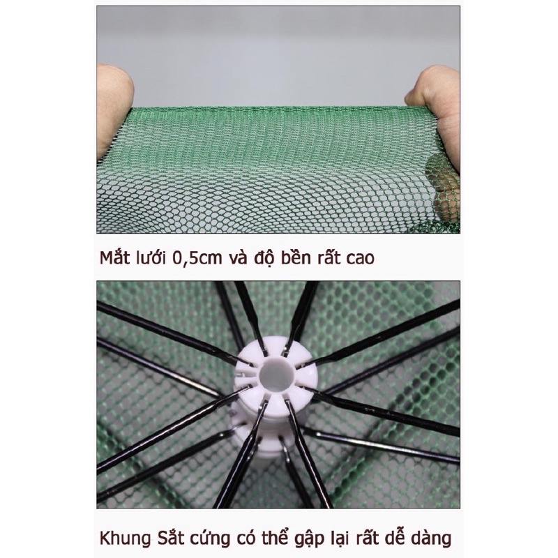 LỒNG Ô BÁT QUÁI - ĐÁNH BẮT CÁ  ,ĐỒ CÂU CÁ