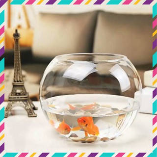 Hồ Cá, Bể Cá, Chậu Cây Thuỷ Tinh T02
