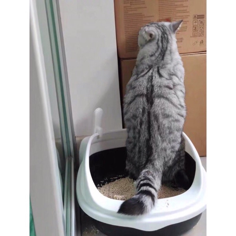 [ Tặng kèm xẻng ] Khay vệ sinh cho mèo 40x30cm Chậu đựng cát vệ sinh cho mèo Thau cát đi vệ sinh ❤️Nhà vệ sinh cho mèo