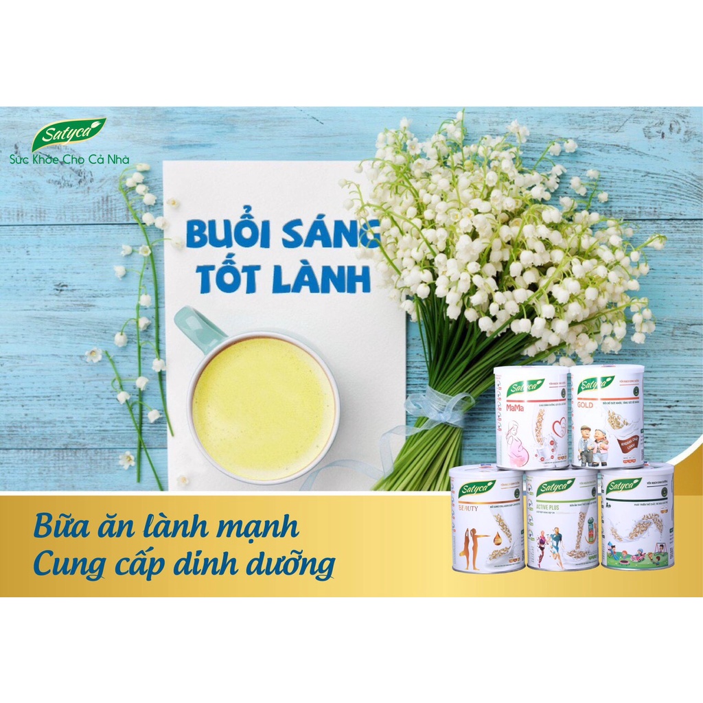 Sữa hạt dinh dưỡng Satyca Active Plus dành cho nam, nữ thanh niên trưởng thành hộp 450g - BCA65